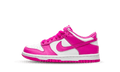 Nike fux Dunk – Accessorio premium elegante